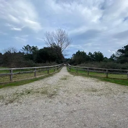 Complesso Mosaico Non Fornisce Prestazioni Di Carattere Alberghiero, Arredati Da Foto, Per Il Check In Agenzia Ferro Viale Francesco Petrarca 391 Ra Lido Adriano